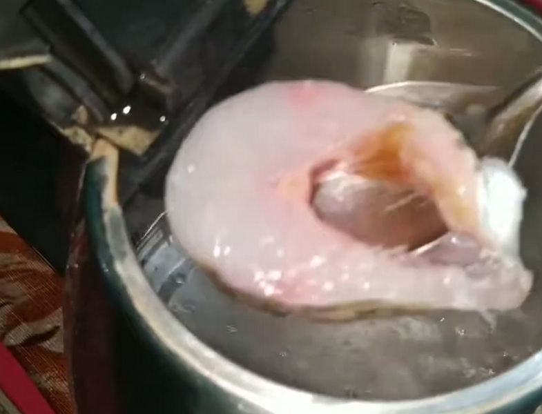 Cook Fish in Electric Kettle_1