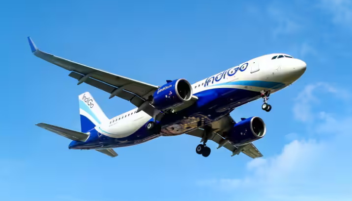 Carry Electric Kettle in Indigo Flight_3
