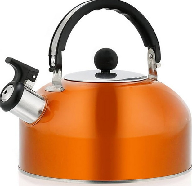 Electric Kettle_1