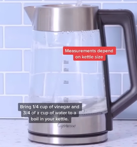 Disenfect Electric Tea Kettle_1