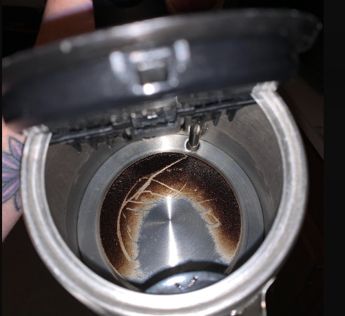 Clean Electric Kettle_6